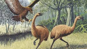 Anllelasagra_vip at last was able to arranging a time with