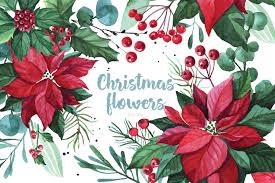 Succulent delivery to a home or office can make a statement like nothing else can. Christmas Flowers Red