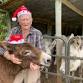 Santa Donkey Day event image