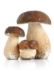 Epingle Par Linda Rawls Sur Mushrooms Cottage Champignons Farcis Ris De Veau Ris De Veau Recette