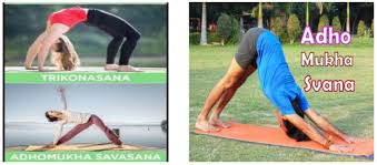 Maybe you would like to learn more about one of these? An Asana Is A Body Posture Originally And Still A General Term For A