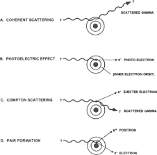 Gamma Ray Absorption An Overview Sciencedirect Topics
