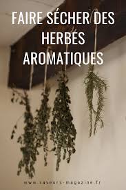 3 Astuces Pour Conserver Des Herbes Aromatiques Herbes Aromatiques Secher Des Herbes Herbe