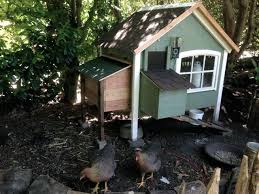 Huhnerhaus Stadtlandeier Huhnergehege Huhnerhaus Huhner