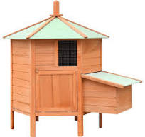 Amazon.com: Jaula de pollo Madera maciza de pino y abeto ...
