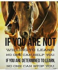 Pin On Western Wisdom