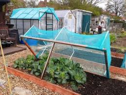 Garden Netting Home Depot In 2020 Garden Netting Vegetable Garden Garden Frame
