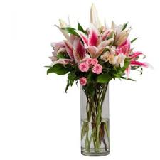 We did not find results for: Flower Delivery Torre Pacheco Online Florist Torre Pacheco