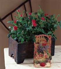 Use indoor window box planters for growing herbs inside. Create An Indoor Window Box For Valentine S Day Storey Publishing