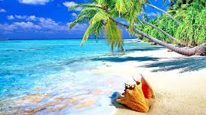 Kustom pemandangan alam wallpaper sunset di pantai 3d foto mural. Download Gambar Pemandangan Alam Pantai 2251 Gambar Pemandangan Beach Scenery Beach Wallpaper Tropical Beach