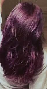 By exiting out, you will not be able to return to your cart and use temporary card number. Ion Brilliance 2 Purple Eggplant Purplehair Applied To Light Ashe Brown Hair Sallys Hair Color Plum Ash Hair Color Plum Hair