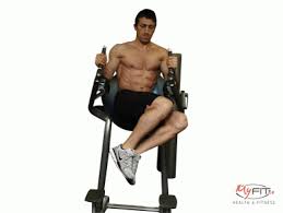 5 best hamstring exercises to do at home. Roman Chair Exercise Myfit