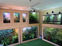 Atmosphere Chameleons Enclosure Ideas Plants Chameleon Enclosure Reptile Room Pet Enclosure