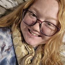 What are the requirements for setting up a ball python enclosure?