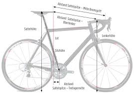 Vermessungsblatt Fur Sitzposition Und Rahmen Fahrrad Masse Fahrrad Werkstatt Fahrrad Reinigen