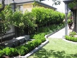 Wholesale Plant Supply Bayside Glen Eira Mornington Peninsula Melbourne Jaye Metcalf Designer Gardens