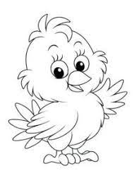 Gambar Mewarnai Ayam Bird Coloring Pages Animal Coloring Pages Baby Coloring Pages