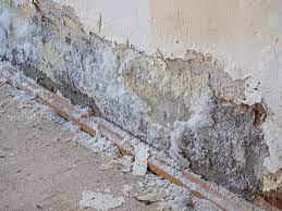 Dans les anciennes bâtisses, elle est avant tout due aux remontées d'humidité. Consequences D Un Mur Humide Murhumide Fr