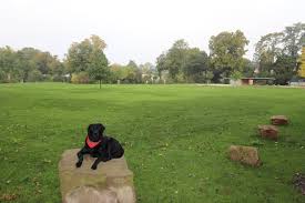 Photos, address, and phone number, opening hours, photos, and user reviews on yandex.maps. Zoopark Dusseldorf Mit Hund Aykas Hundeblog