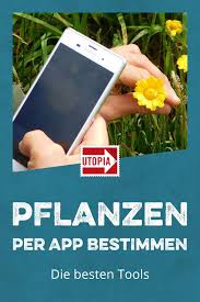 Pflanzen Per App Bestimmen Die Besten Tools Pflanzen Heilpflanzen Und Bepflanzung