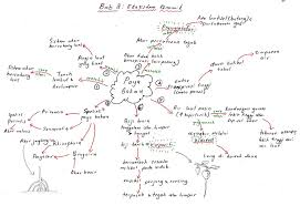 Selamat datang ke blog biologi tingkatan 4. Soalan Kbat Biologi Tingkatan 4 Bab 2 Kuora A