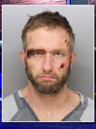 Man who allegedly crashed into 2 police cruisers during high-speed chase  goes to court