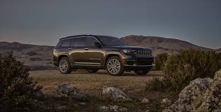 Image result for Brown 2021 Fleet