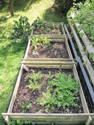 Wer jetzt samen sammelt und kaltkeimer sät, wird mit einem blühenden frühlingsgarten belohnt. Dein Garten Im Herbst Was Jetzt Zu Tun Ist