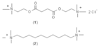 Image result for Malouetia bequaertiana
