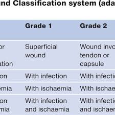 Image result for IDSA Diabetic Foot Wound Classification