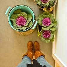 We would like to show you a description here but the site won’t allow us. Behind The Scenes With An Interior Stylist House Nerd