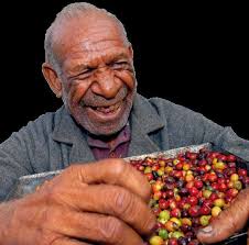 Gutpela Tingting na Sindaun