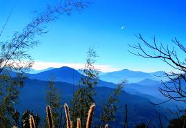 The state's thick dense forest; National Parks In Sikkim Tourgenie