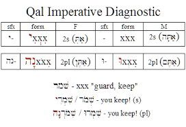 How to use imperative in a definition of imperative (entry 2 of 2). Qal Imperatives