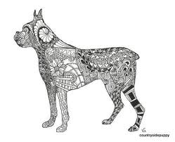 Boxer dog coloring book pages cute images for adults best activities free umbrellas car. Boxer Dog Line Drawing Novocom Top