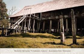 Rumah adat penduduk palembang ini rumah tersebut, pertama kali dibangun oleh masyarakat suku dayak selatan yang merupakan bangunan rumah tersebut terinspirasi dari rumah adat suku tidung yang juga berada di kalimantan. Jenis Rumah Dayak Ngaju Folks Of Dayak