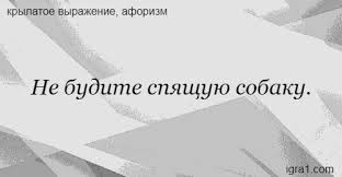 Не будите спящую собаку - значение - Игра слов