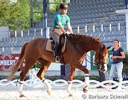 Here are a few things about her. 14 Aachen Werth Bellarose 4305