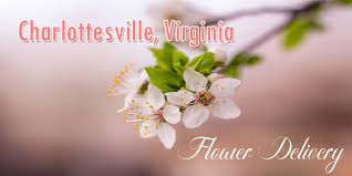 Tourterelle floral design specializes in floral designs for weddings and events in central virginia foxtail cottage floral is a floral design studio based in charlottesville, virginia. 6 Best Flower Delivery In Charlottesville Va 2021