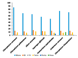 Image result for Chlorophytum gallabatense