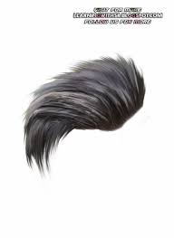 Download Photoshop Png File Download Zip Png Gif Base Download Hair Hair Png Blue Background Images