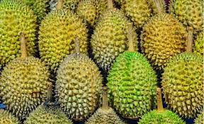 Saya juga mempunyai penyakit hyperthyroidism dan makan ubat proponolol dengan carbimazol. Rasa Pening Selepas Makan Durian Ikuti Perkongsian Doktor Ini Untuk Ketahui Punca Cara Atasinya Buzzkini