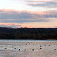 Maybe you would like to learn more about one of these? Yellow Creek State Park Dcnr Calendar Of Events