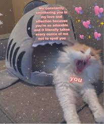 T Shysniccer Cute Love Memes Love You Meme Cute Memes