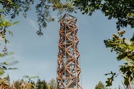 Image result for k%u0159i%u017E k pruhovan 