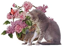 Https Encrypted Tbn0 Gstatic Com Images Q Tbn And9gcqc3db0z5tcmytg0nycygctp3n8tstu Fxvpw Usqp Cau