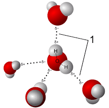 The dynamic interactions of water molecules. Hydrogen Bond Wikipedia