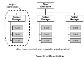 Projectized Organization Essay Example Rvtermpaperjqfp