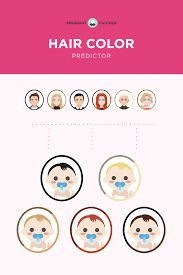 What Color Hair Will My Baby Have Baby Hair Color Predictor In 2020 Baby Eye Color Predictor Baby Hairstyles Hair Color Chart