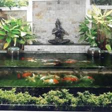 Umumnya pembuatan kolam koi tidak ada yang murah. Jual Jasa Pembuatan Kolam Ikan Koi Jakarta Utara Rizki Decoration Mia Tokopedia